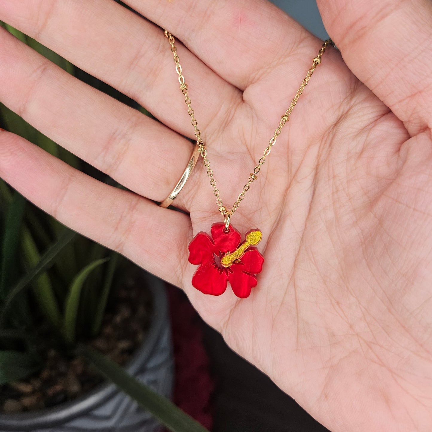 Amapola Encantadora